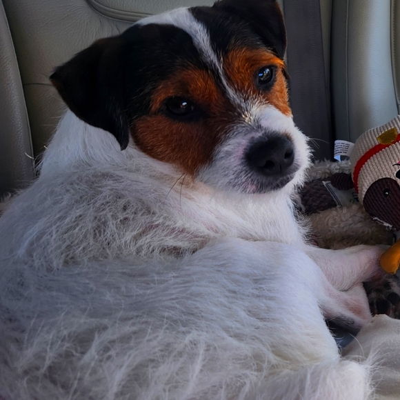 @bethybd LIVE TONIGHT NYE! 6pmEST Feeling Festive  Details⬇️Use➕️/Deals&Givey!🎉 - Picture 8 of 16